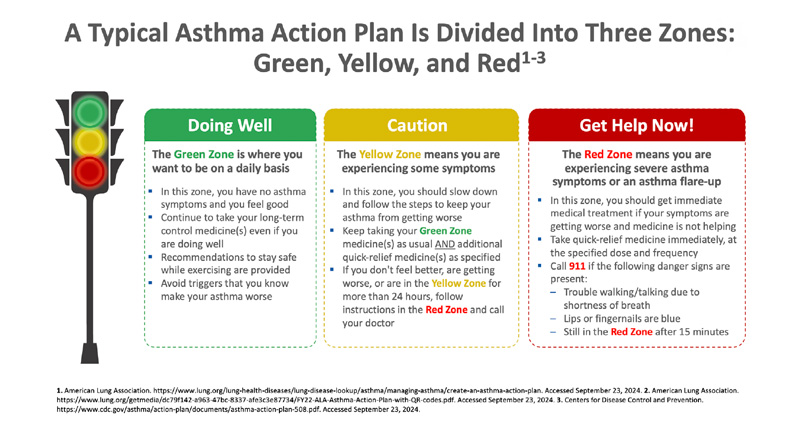 Typical Asthma Action Plan