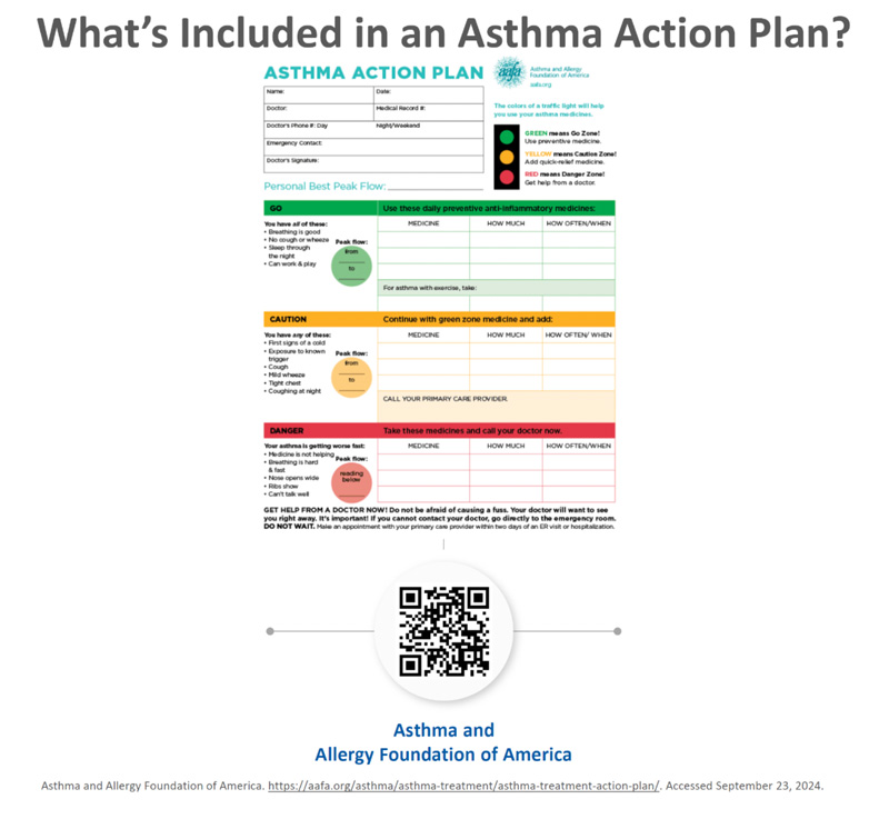 What included in an Asthma Action Plan graph