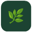 health icon